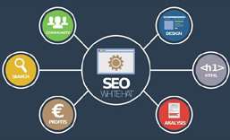 盐田网站SEO 优化  推广